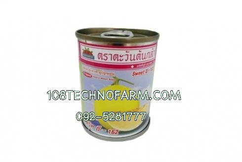 แคนตาลูปสวีท D-162 20g.